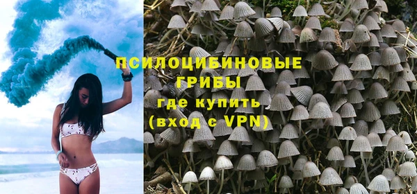 стаф Белоозёрский