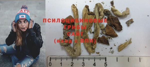 экстази Белокуриха