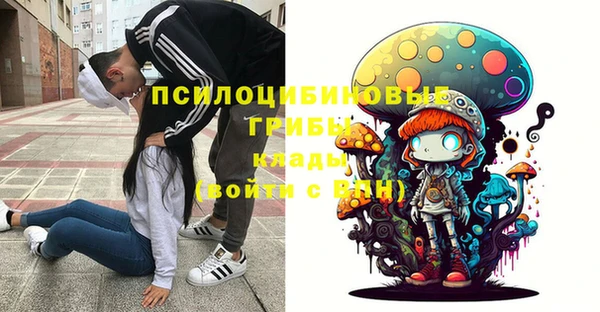 стаф Белоозёрский