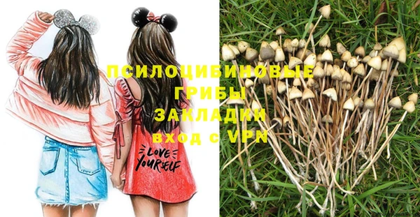 экстази Белокуриха